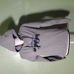 Patagonia hoodie sz small